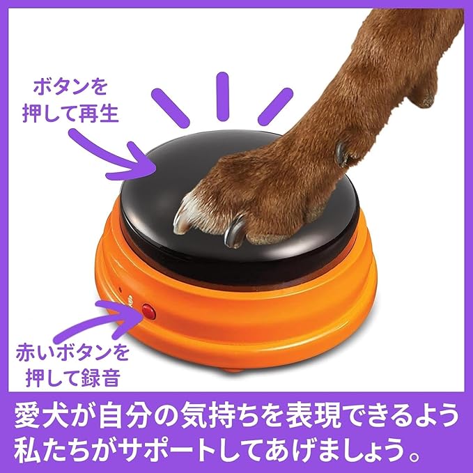 Hunger for Words Talking Pet Talking Record Button Starter 4 Pack Japanese Version LER9351-J Authentic Product