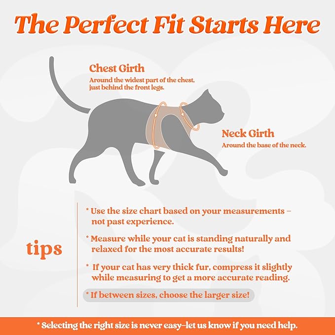 rabbitgoo Cat Harness and Leash, Step-in Escape Proof Kitten Harness Set, Soft Comfortable Cat Vest, Easy to Wear and Adjust, Reflective for Safe Outdoor Walking, Light Orange, Small