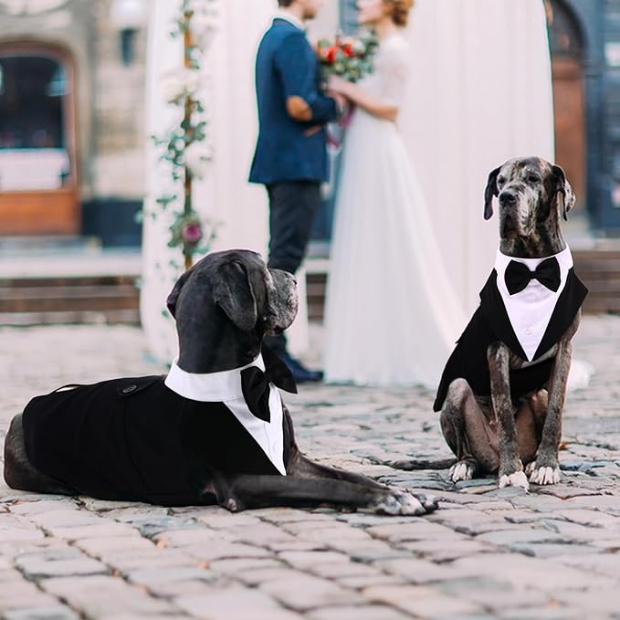 QBLEEV Dog Tuxedo Suit with Bow Tie, Formal Gentleman Dog Tux Costume and Bandana Set for Wedding Outfit Birthday Party Cosplay Photo Shoot, Doggy Prince Attire for Maltese Dachshund Corgi Beagle