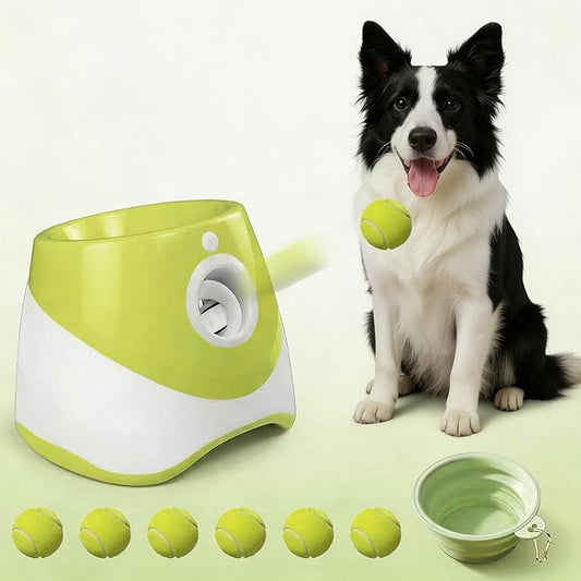 Automatic Ball Launcher