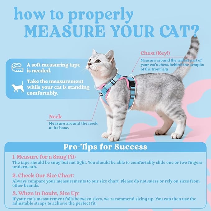 rabbitgoo Cat Harness and Leash Set, Escape Proof Kitten Harness for Safe Outdoor Walks, Soft Breathable Adjustable Vest with Reflective Strips for Kittens and Small Cats, Light Blue & Pink, XS