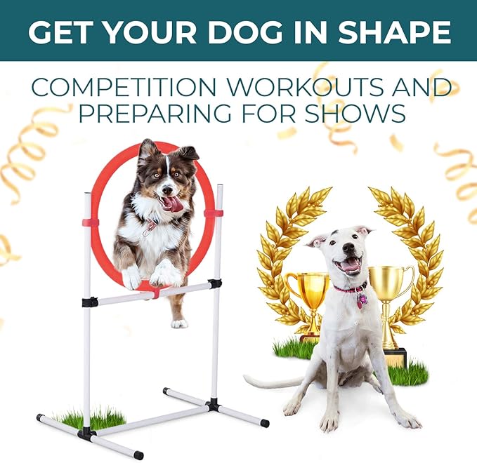 Dog Agility Training Equipment - 4 Piece Obstacle Course Includes Dog Jump, Tire Jump, Pause Box and Weave Poles with Carrying Case, Indoor or Outdoor Use