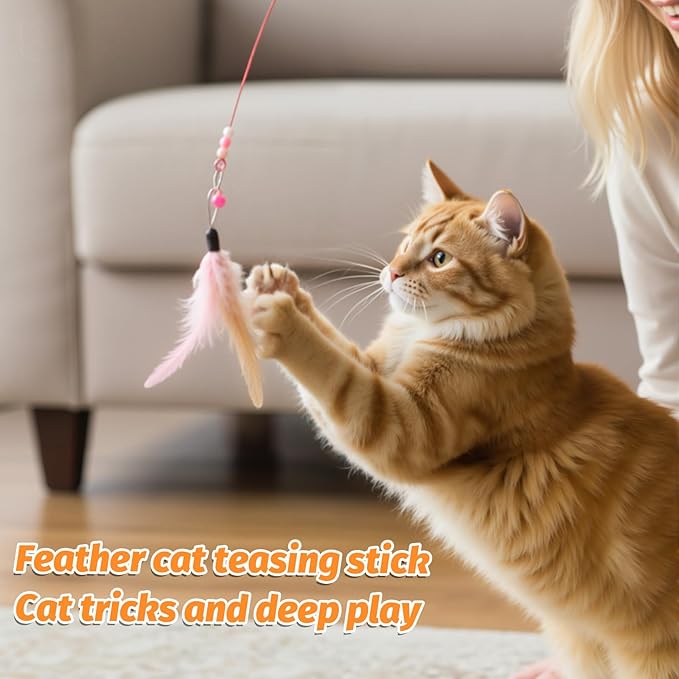 Cat Feather Toy 4PCS Cat Toys for Indoor Cats Interactive Cat-Feather Wand Cats Feather Toys for Bored Indoor-Cat Chase and Exercise