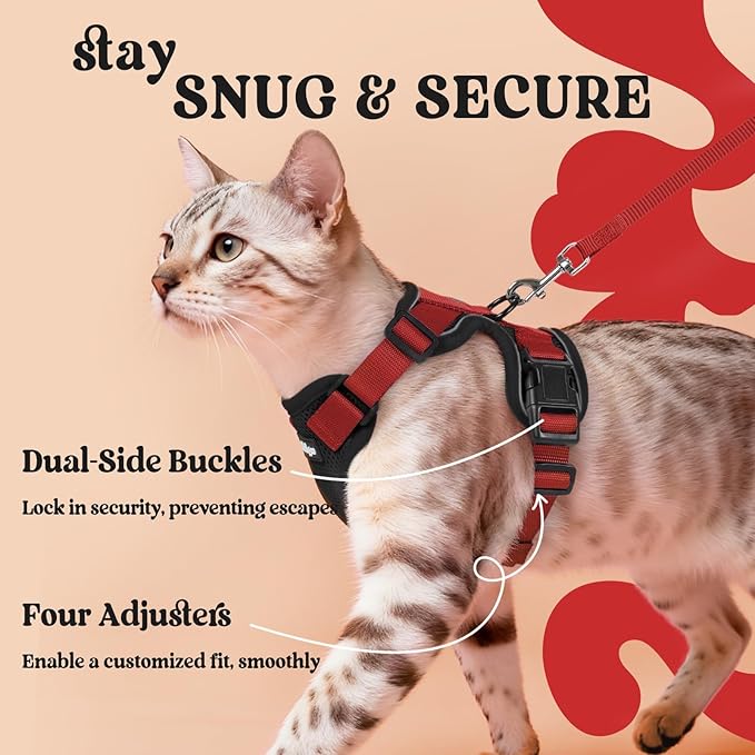 rabbitgoo Cat Harness and Leash Set, Escape Proof Vest Harness for Safe Outdoor Walks, Soft Breathable Adjustable Vest with Reflective Strips for Small and Average Cats, Black & Red, S