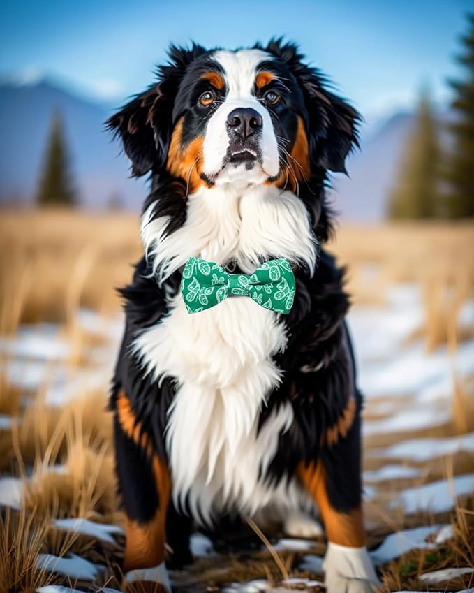 PET SHOW 10 Pack Paisley Big Dog Bow Ties for Large Medium Dogs Sliding Collar Attachments Floral Bowties Classy Bowknots Party Holiday Pet Grooming Accessories(Large)