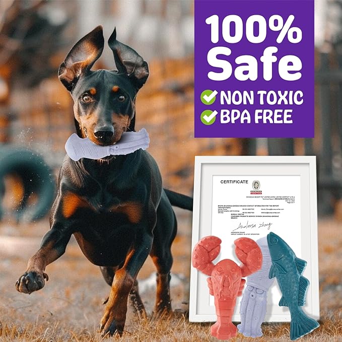 Kimee Dog Toys for Aggressive Chewers, 3 Pack Indestructible Dog Chew Toys, Super Chewer Toys with Tough Nylon Bacon Flavor for All Breed Sizes, Teeth Cleaning & Training, Boredom Relief