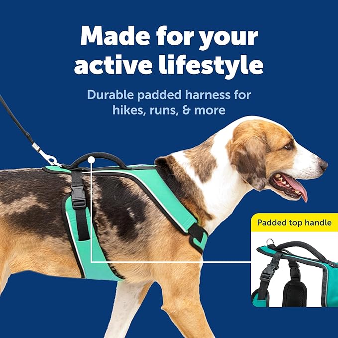 PetSafe EasySport Harness Padded Straps Fully Adjustable Elastic Neckline Best for Athletic Dogs Top Handle for Quick Control - Large - Teal