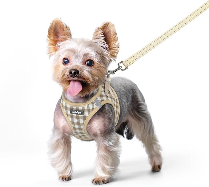 rabbitgoo Dog Harness Small Sized and Leash Set, Step in Soft Light Puppy Vest, Breathable Mesh Pet Harness, Reflective for Safe Easy Walking, Beige Plaid XS