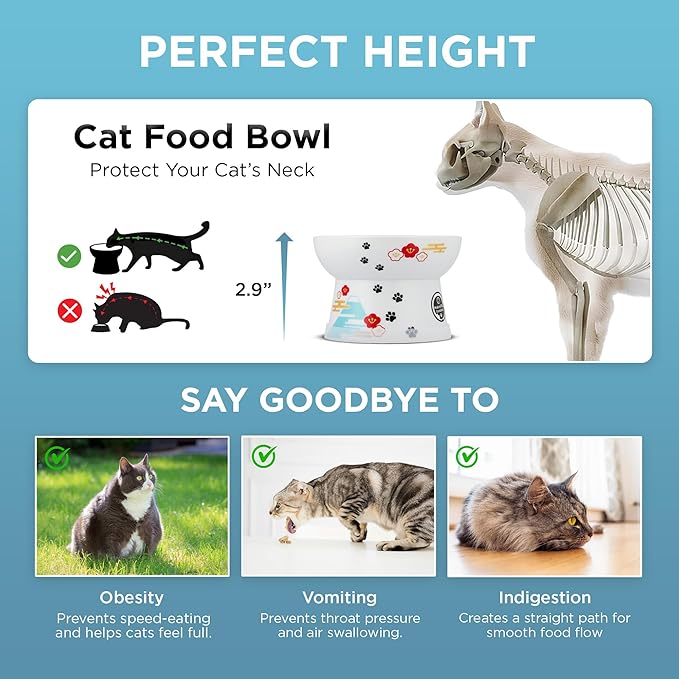 Necoichi Raised Cat Food Bowl – Ceramic Elevated Cat Bowl for Whisker & Neck Fatigue, Dishwasher Microwave Safe – Non-Slip & Anti Vomiting Ergonomic Design (Fuji, Regular, 1-Cup Capacity)