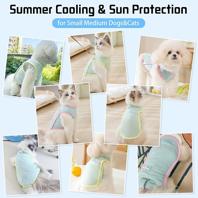 Dog Cooling Vest, Summer Pet T-Shirt, Breathable Quick-Dry Outfit for Dogs and Cats, Blue (Green, Small(3.3-5.5lb))