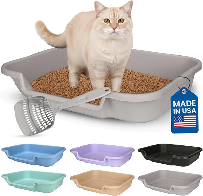 KittyGoHere Senior Cat Litter Box, Large Litter pan with Long-Handle Jumbo Scoop, Open Top Low Entrance Kitty Litter Box, Lightweight Low Entry Litters Box, Durable, Made in USA (Misty Gray)
