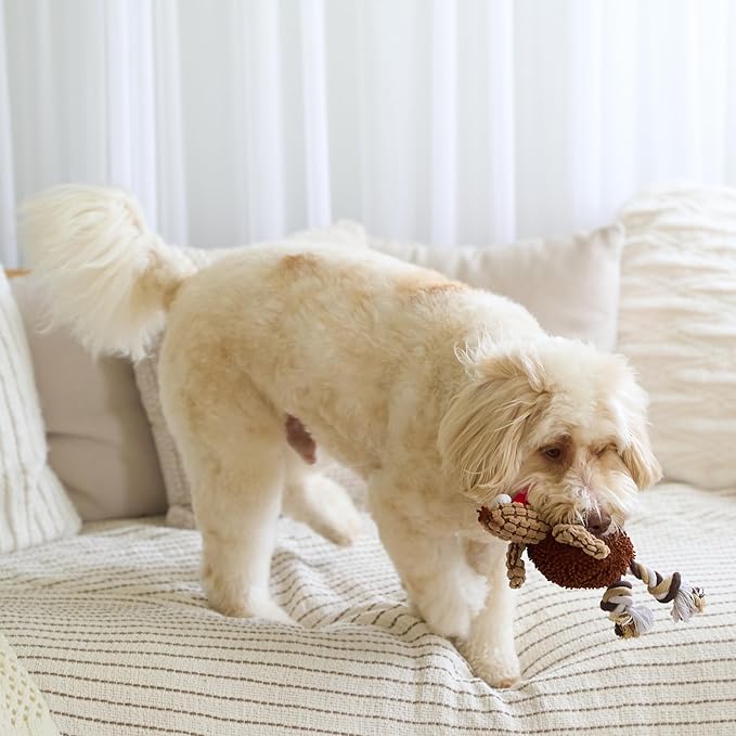 SPOT Gigglers Chicken Dog Toy with Giggle Sound, Textured Plush Tug Toy with Rope Legs, 12" for Small and Medium Dog Breeds