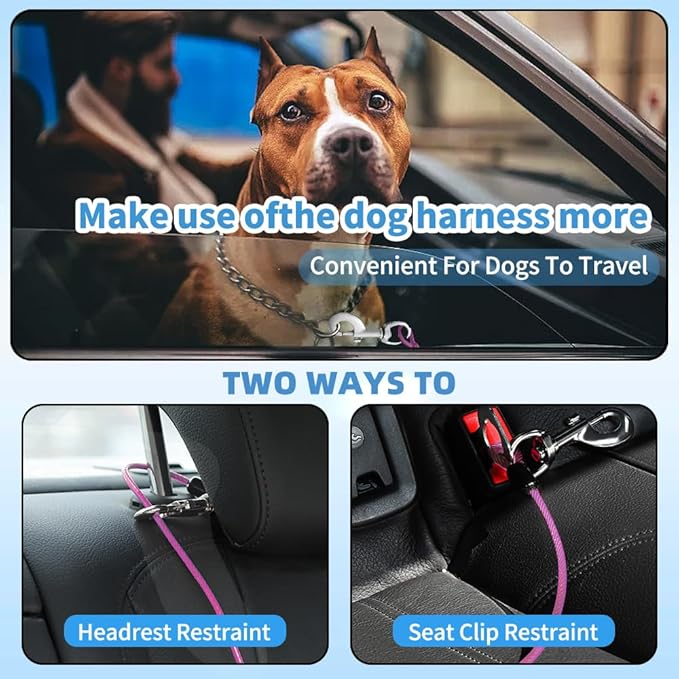 Dog Seat Belt Harness for Car,2pcs Dog Seatbelt of Coated Wire Leash Safety Restraint,No Chew Tether Cable Vehicle Dogs Accessories,Double Clips & Latch (Purple, 16 inch/40 CM)