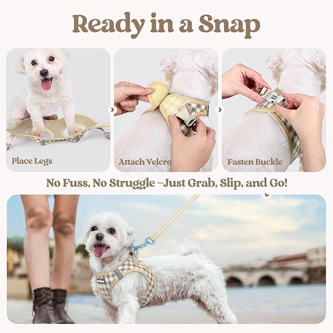 rabbitgoo Dog Harness Small Sized and Leash Set, Step in Soft Light Puppy Vest, Breathable Mesh Pet Harness, Reflective for Safe Easy Walking, Beige Plaid M