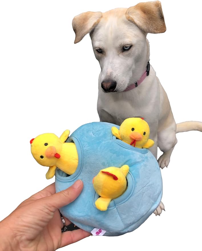Glow Pups Chicken and Egg Hide and Seek Interactive Dog Toy with Squeaker, Promotes Mental Stimulation, 7 X 6 Inches (Egg and 3 Chickens, Blue and Yellow)