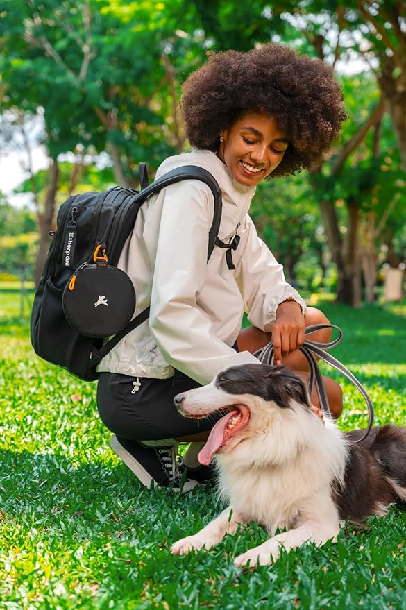OllyDog Superbowl | Collapsible Dog Travel Bowl | 2-Compartment Food & Water | Foldable Portable Dog Dish | Hiking Camping Backpacking | Small Medium Large Dogs (Magnolia)