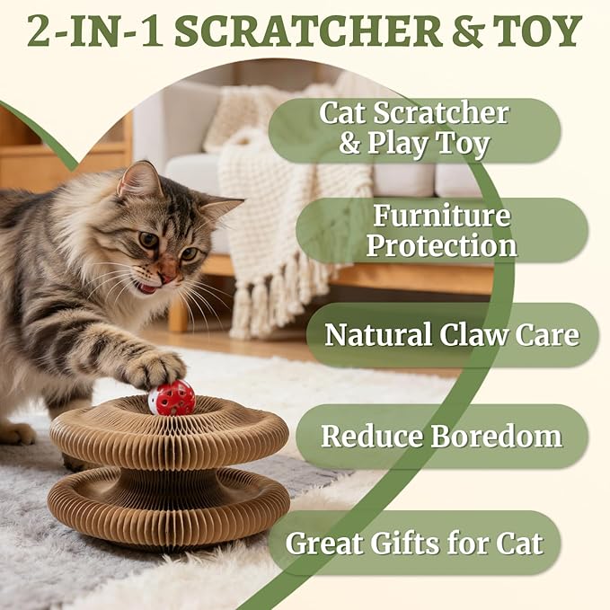 2 Pack Cat Scratcher Toy with Bells, Magic Organ Foldable Cat Scratching Board for Indoor Adult Cats Reduce Boredom, Interactive Toys for Kitten Exercise Anxiety Relief (Brown, 2 Pack)