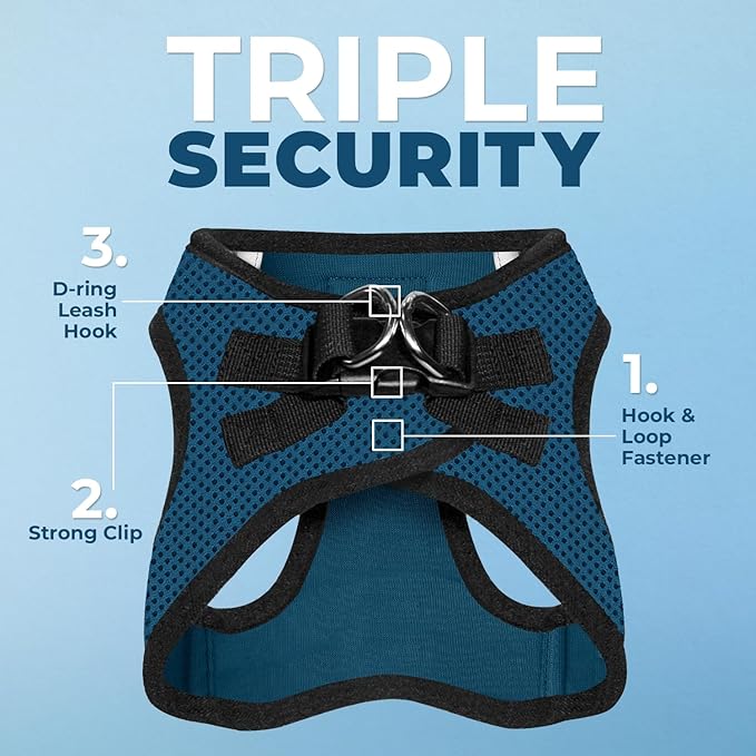 Best Pet Supplies Voyager Step-in Air All Weather Mesh Harness and Reflective Dog 5ft Leash Combo with Neoprene Handle, for Small, Medium and Large Breed Puppies - Set (Blue/Black Trim), XX-Small