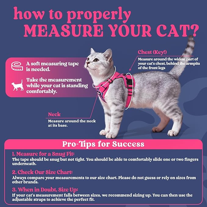 rabbitgoo Cat Harness and Leash Set, Escape Proof Vest Harness for Safe Outdoor Walks, Soft Breathable Adjustable Vest with Reflective Strips for Average to Large Cats, Coconut Fuchsia, M