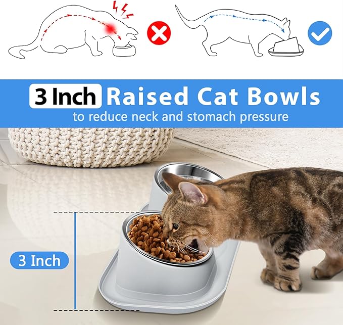Ant Away Stainless Steel Elevated Cat Bowls with Stand - Tilted Anti Vomiting, Double Food and Water Bowl Set (Grey, 16 Oz)