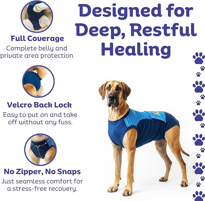 Surgi Snuggly Dog Surgery Recovery Suit - Dog Onesie for Post Surgery Recovery, Female Spay & Male Neuter - Surgical Suit for Dogs, E-Collar Cone Alternative, Double Blue - 2X-Large - 31" - 35" (EC)