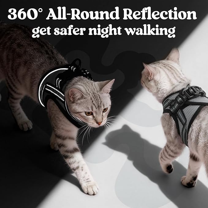 rabbitgoo Cat Harness and Leash, Step-in Escape Proof Kitten Harness Set, Soft Comfortable Cat Vest, Easy to Wear and Adjust, Reflective for Safe Outdoor Walking, Grey, Medium