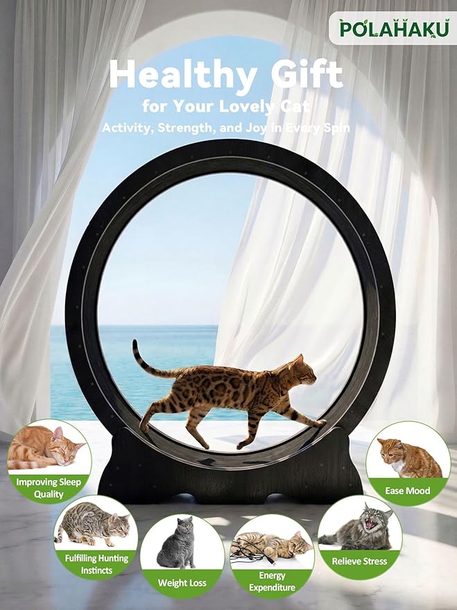 Cat Exercise Wheel, 48 Inch Diameter Cat Treadmill for Indoor Cats, Cats Running Wheel with Updated Enhanced Base and Carpeted Runway for Cat's Longer Life and Fitness, Black