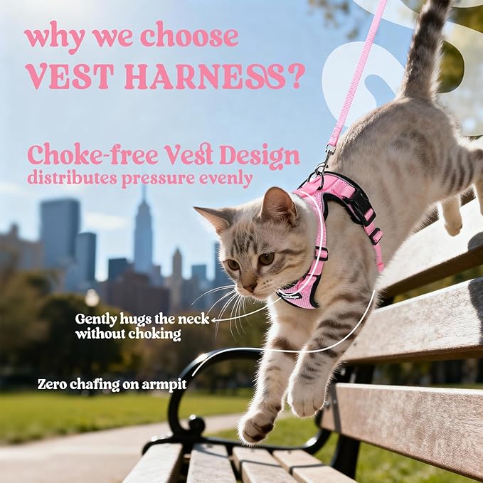 rabbitgoo Cat Harness and Leash Set, Escape Proof Kitten Harness for Safe Outdoor Walks, Soft Breathable Adjustable Vest with Reflective Strips for Kittens and Small Cats, Pink, XS