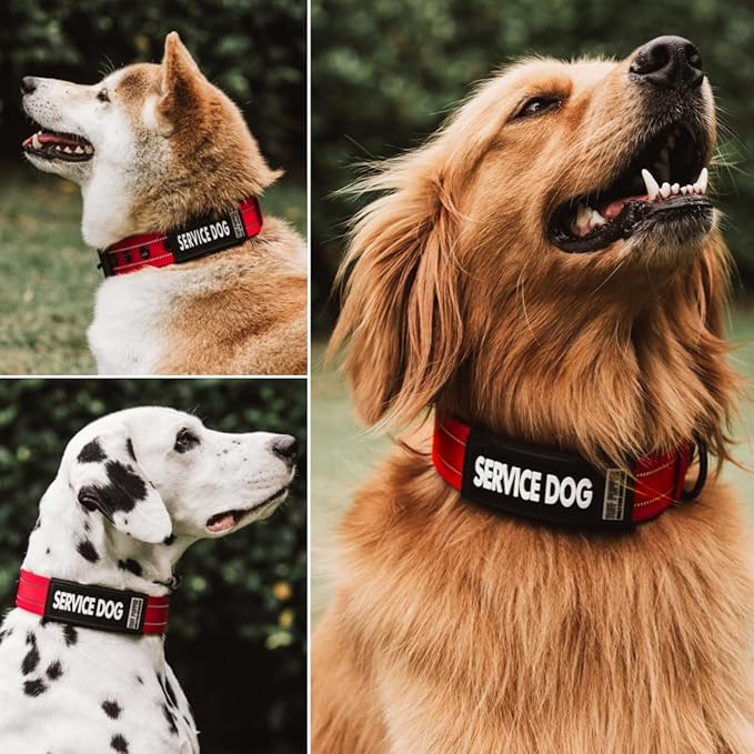 Tuff Pupper 2-Pack Waterproof Collar Sleeves | Fits Any 3/4 Inch Wide Dog Collar | Dual Sided Message | Durable Silicone & Neoprene | Odor & Stink Proof | Easy Slide On & Off (Service Dog, Small)