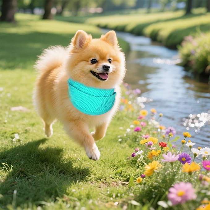 hoyuwak 2 Pack Instant Cooling Dog Bandana Scarf & Vest – Reusable, Adjustable Pet Cooling Bandana for Dogs, Summer Essentials for Walks, Hikes, Playtime (Large)