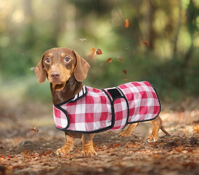 Dachshund Raincoat Corgi Raincoat Dogs Waterproof fit for Dachshunds Weiner Long Back Breeds with Reflective Stripe Great Coverage in Autumn Winter - Pink Plaid - L