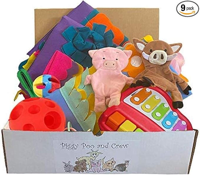 Pet Box Bundle: Assorted Toys for Dogs Pigs Rabbits Cats and Small Animals - Interactive Playtime Variety Pack with Treat Balls Snuffle Mats Games & Toys