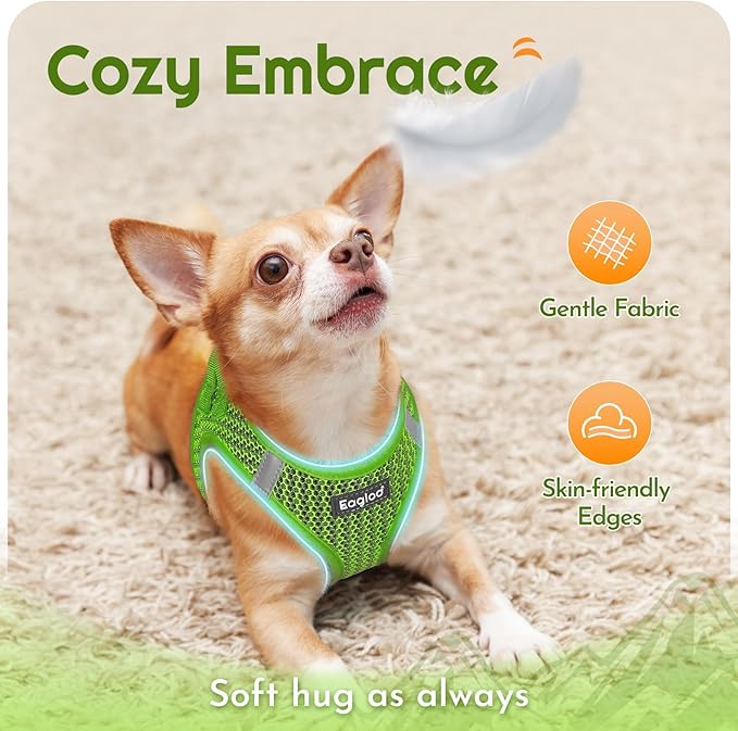 Eagloo Small Dog Harness and Leash Set, Step in Puppy Vest with Breathable Soft Mesh, Walking Reflective Pet Harness for Small Dogs, Green, XS