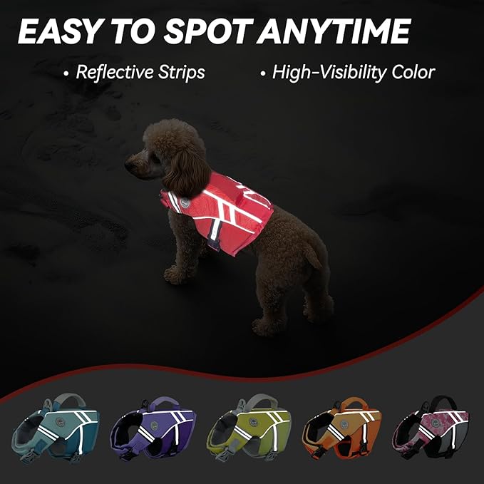 VIVAGLORY Sports Style Dog Life Vest, Dog Life Jacket for Swimming & Boating, Ripstop & Buoyancy for Puppy Doggy, Lifejacket with Handle, XS, Red