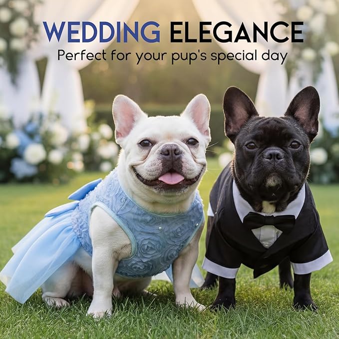 ASENKU Dog Dress Pet Wedding Dress Princess Lace Puppy Birthday Party Outfit Formal Apparel Girl for Small Medium Dogs Cats (XX-Small, Blue)