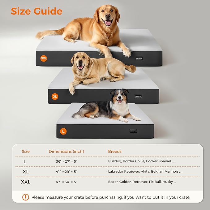 5 Inch Thick Orthopedic Dog Bed for Medium & Large Dogs, High Density Egg Crate Memory Foam with Support Foam, Waterproof Liner & TPU, Removable Washable Cover, Nonskid Bottom, 47"x30"x5", Grey