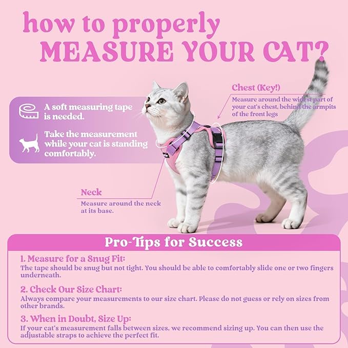 rabbitgoo Cat Harness and Leash Set, Escape Proof Kitten Harness for Safe Outdoor Walks, Soft Breathable Adjustable Vest with Reflective Strips for Kittens and Small Cats, Pink & Purple, XS