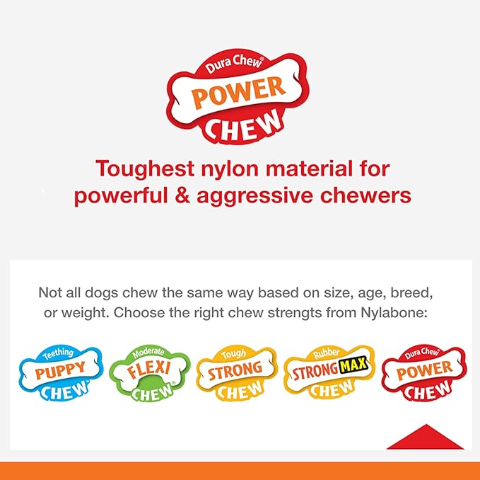 Nylabone Original Wishbone Power Chew Toy for Dogs, Dog Toys for Aggressive Chewers, Original Flavor, Small - Up to 25 Ibs, 1 Count (Pack of 12)