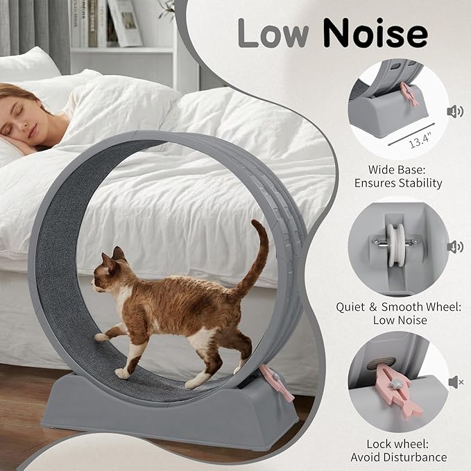 Outvita Cat Exercise Wheel for Indoor Cats, 31.5" Cat Treadmill with Detachable Carpet ＆ Locking Mechanism, Cats Running Wheel Helps Cats to Lose Weight and Keep Health, Easy Assembled (Gray)