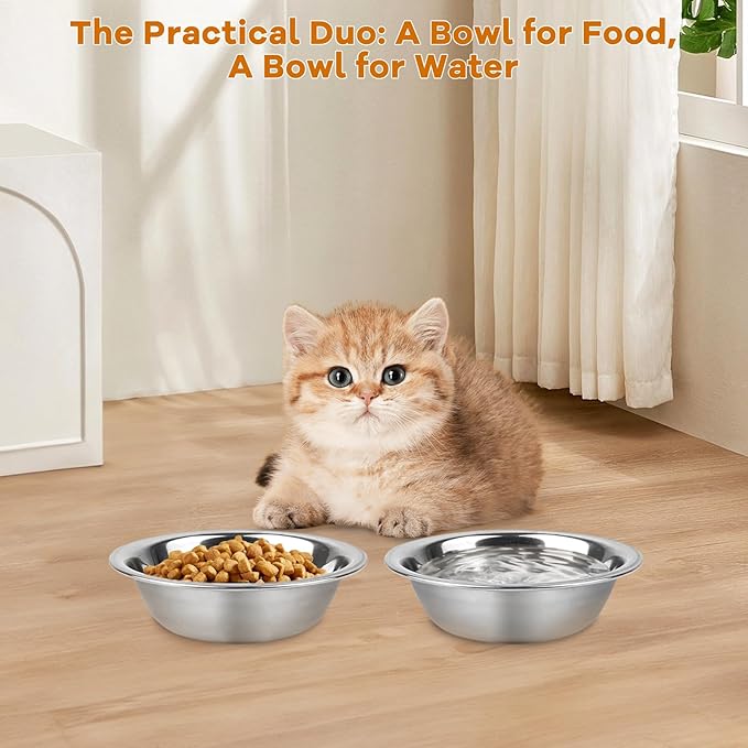 ZUFECY 2-Pack Cat Bowls, 5.5'' Stainless Steel Cat Bowl, Pet Food & Water Dishes, Non-Tip and Easy Clean Kitten Bowls for Small Cats, Indoor/Outdoor Use