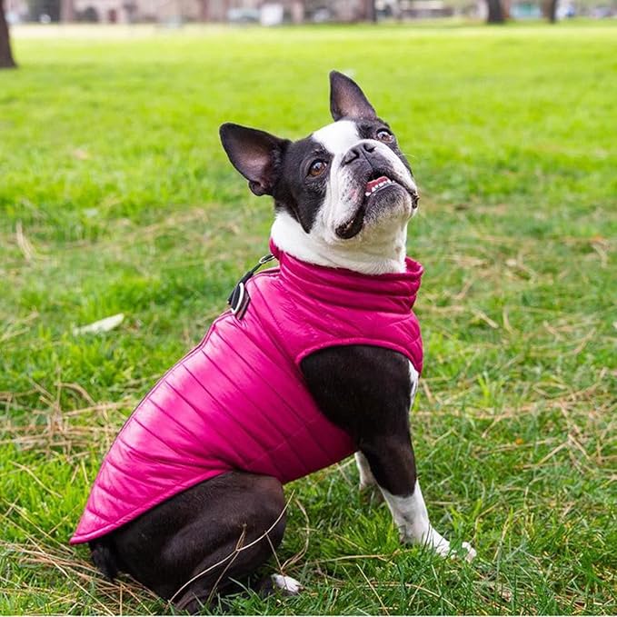 Gooby Puffer Vest Dog Jacket - Pink, Small - Ultra Thin Zip Up Wind Breaker with Dual D Ring Leash - Water Resistant Small Dog Sweater Coat - Dog Clothes for Small Dogs Boy or Medium Dogs, (15")