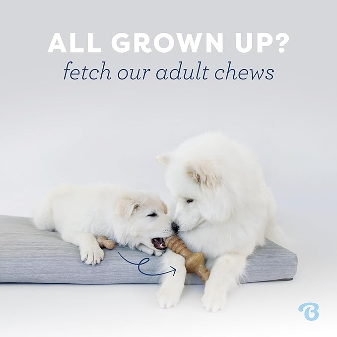 Benebone Puppy 4- Pack Durable Dog Chew Toys for Gentle Chewers, Made in USA, Small