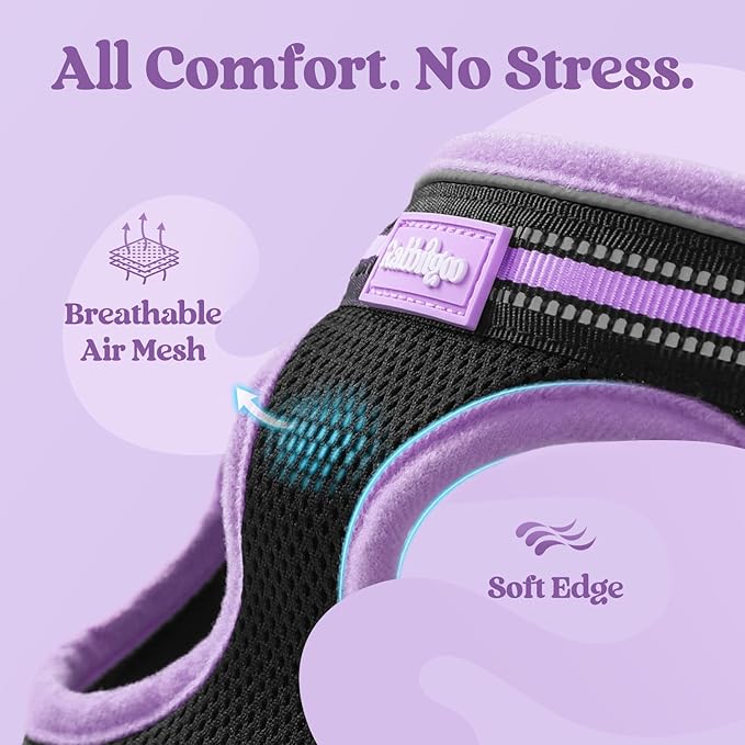 rabbitgoo Cat Harness and Leash, Step-in Escape Proof Kitten Harness Set, Soft Comfortable Cat Vest, Easy to Wear and Adjust, Reflective for Safe Outdoor Walking, Black&Light Purple, Large