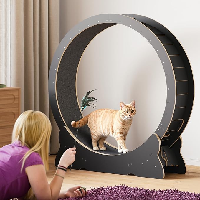 Mondeer Cat Exercise Wheel, 46'' Cat Wheel for Indoor Cats with Carpeted Runway, XL Treadmill with Removable Carpet and Teaser, for Running Walking Training (Black)