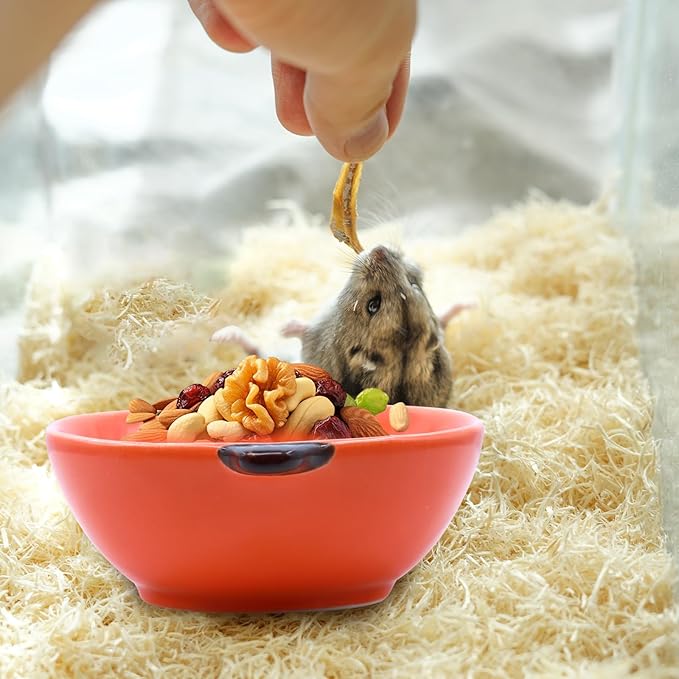 Small Guinea Pig Food Bowl Pumpkin-Shaped Cute Ceramic Hamster Water Bowl Ferret Rat Chinchilla Rabbit Feeding Dish Young Animal Feeder(Brown)