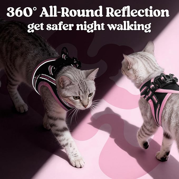 rabbitgoo Cat Harness and Leash, Step-in Escape Proof Kitten Harness Set, Soft Comfortable Cat Vest, Easy to Wear and Adjust, Reflective for Safe Outdoor Walking, Black&Pink, Small