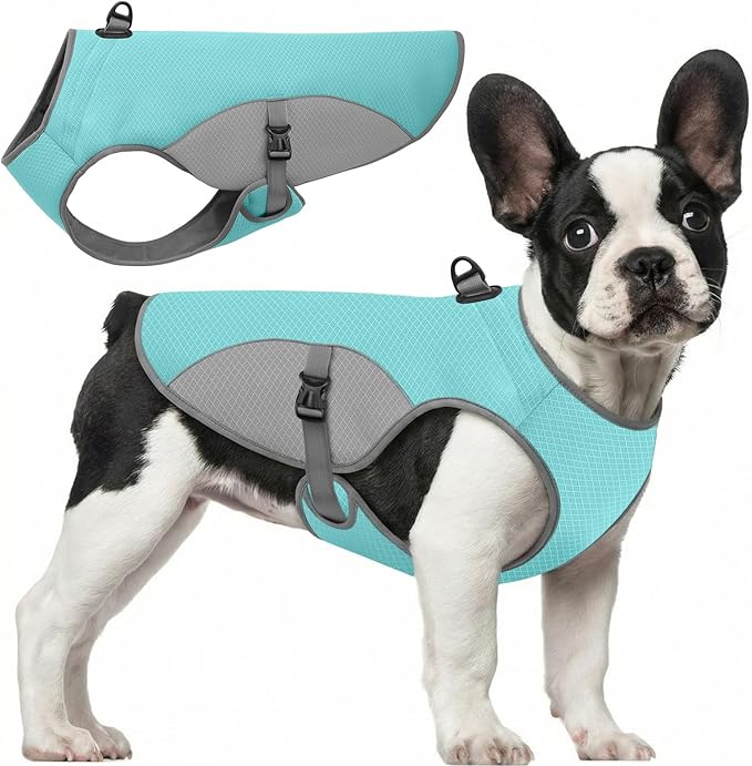Dog Cooler Jacket for Extra Large Dogs, Dog Mesh Cooling Vest with Reflective Stripe and D Ring, Pet Cooling Jacket for Beach, Hiking, Walking, Blue-XL