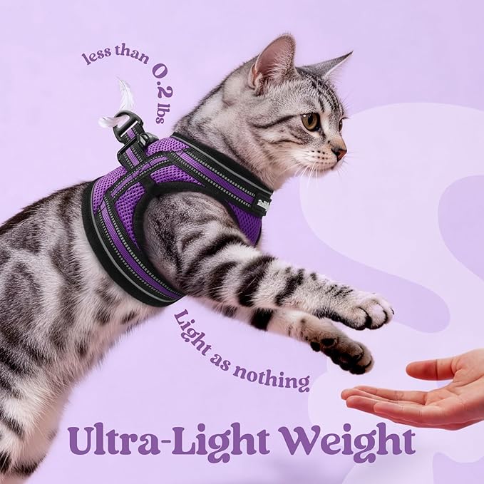 rabbitgoo Cat Harness and Leash, Step-in Escape Proof Kitten Harness Set, Soft Comfortable Cat Vest, Easy to Wear and Adjust, Reflective for Safe Outdoor Walking, Purple, Small