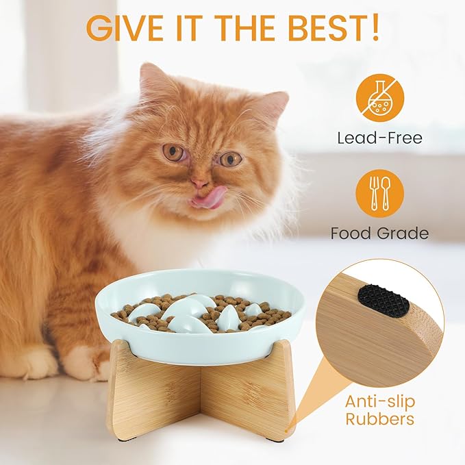PETTOM Slow Feeder Cat Bowl with Stand, Ceramic Slow Eating Cat Bowl with Higher Edges Fish Pool Design Elevated Food Bowls for Dry and Wet Food Anti-Vomiting Puzzle Feeder for Healthy Eating Diet