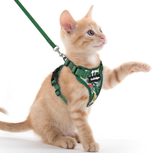 rabbitgoo Cat Harness and Leash Set, Escape Proof Kitten Harness for Safe Outdoor Walks, Soft Breathable Adjustable Vest with Reflective Strips for Kittens and Extra Small Cats, Rainforest Green, XXS